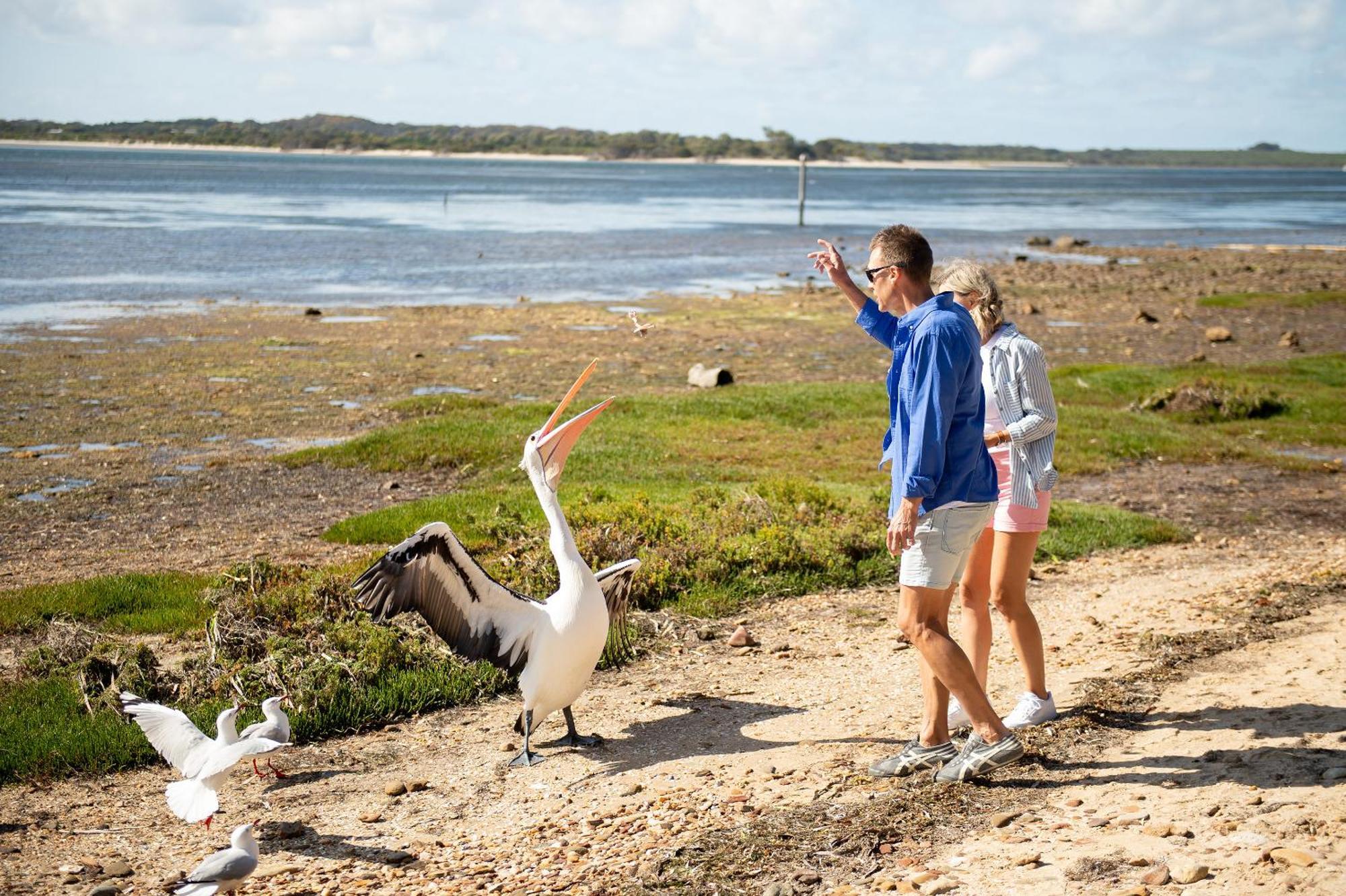 Mercure Kangaroo Island Lodge American River Buitenkant foto