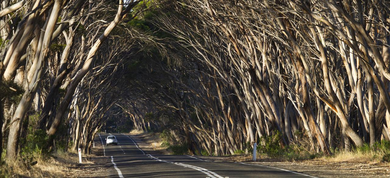 Mercure Kangaroo Island Lodge American River Buitenkant foto